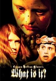 What Is It? (2005)
