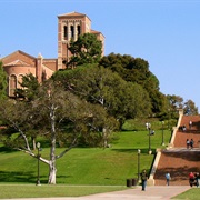 University of California, Los Angeles