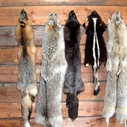 Fort Carlton Provincial Historic Park