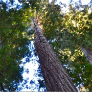 Admiral William Standley State Recreation Area, California