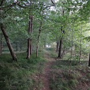 Woods Island State Park, Vermont