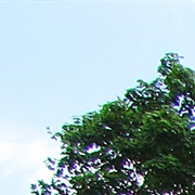 Mount Olivet Cemetery