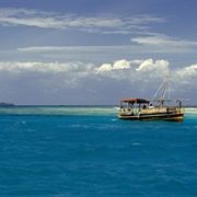 Kisite Marine National Park, Kenya