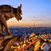 Notre Dame De Paris, Paris, France