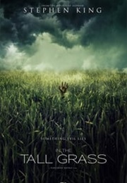 In the Tall Grass (2019)