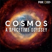 Cosmos: A Spacetime Odyssey (2014)