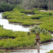 Cockroach Bay Preserve State Park, Florida