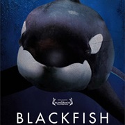 Blackfish