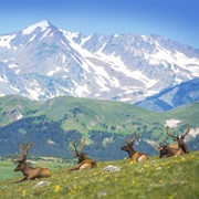 Rocky Mountain National Park, CO