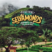 Festival Selvamonos (Oxapampa, Peru)