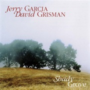 Jerry Garcia &amp; David Grisman - Shady Grove