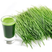 Wheat Grass