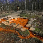 SOOS Natural Reserve