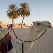 Sahara Desert, Africa