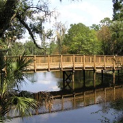 Little Big Econ State Forest, Florida