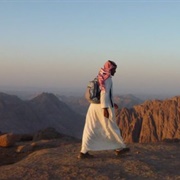 Sinai Trail