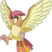 Pidgeotto