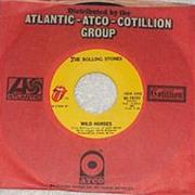 Wild Horses - The Rolling Stones