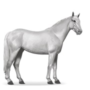 Mustang - Light Gray