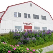 Land's End Gift Shop, Maine