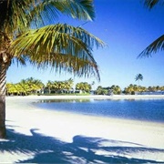 Matheson Hammock Park