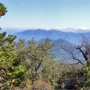 Blue Ridge National Wildlife Refuge