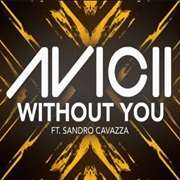 Avicii - Without You