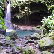 Jungle Tour on Dominica