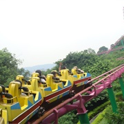 Crazy Rollercoaster (Nanhu Amusement Park)