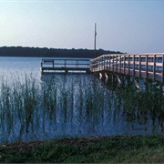 Fairfield Lake State Park, Texas