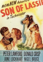 Son of Lassie (1945)