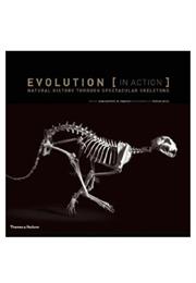 Evolution in Action by De Panafieu and Gries