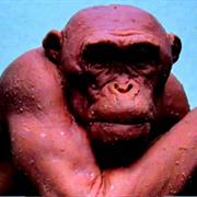 Normalpornfornormalpeople.com