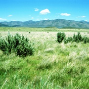 Curlew National Grassland