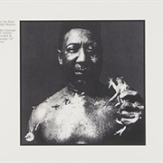Muddy Waters - After the Rain