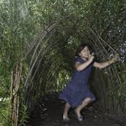 Living Willow Tunnel in Pierce's Park - Baltimore Inner Harbor, MD