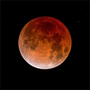 Kissed Under a Lunar Eclipse