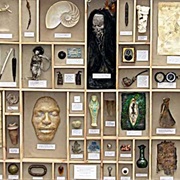 Make a Cabinet of Curiosities