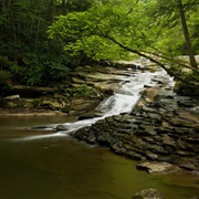 Potomac State Forest, Maryland