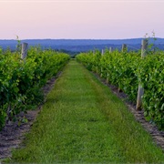 Texas Hill Country's Wine Region