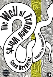 The Well of Trapped Words (Sema Kaygusuz)