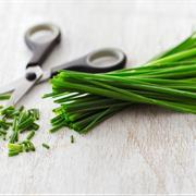 Chive