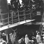 The Steerage