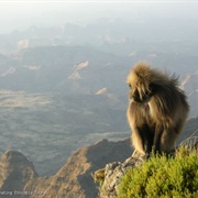 Simien Mountains, Ethiopia