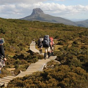 Overland Track Tasmania