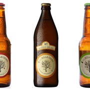 Hill's Cider