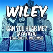 Wiley Ft Skepta Etc. - Can You Hear Me