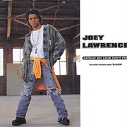 Nothin' My Love Can't Fix - Joey Lawrence