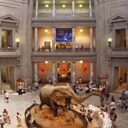 Nat'l Museum of Natural History, DC