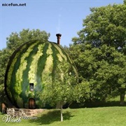 Watermelon House